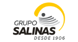 Grupo Salinas
